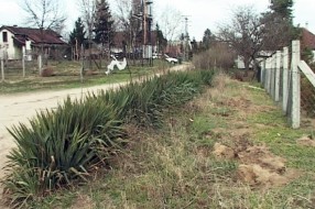 Asfaltiranje Bračke ulice sledeće godine