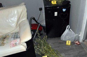 Uhapšen mladić osumnjičen za uzgajanje i prodaju marihuane