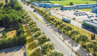 Krajem novembra pošumljavanje Segedinskog i Beogradskog puta, otvoren poziv za učešće kompanija