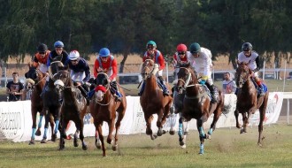 "Zobnatičke konjičke igre" 24. septembra na Ergeli "Zobnatica"