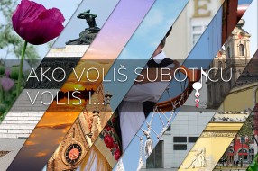 Šta najviše volite u našem gradu?