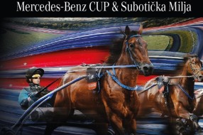 Konjički sport: "Subotička milja" i "Mercedes Benz Kup" u subotu na Hipodromu