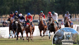 Zobnatičke konjičke trke u nedelju