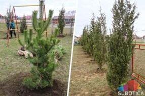 Počelo ozelenjavanje dvorišta objekata PU "Naša radost"