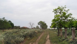 Ni I od Ipsilon kraka