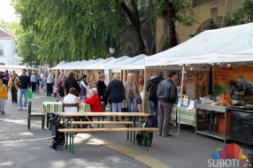 Počeli "Dani mangulice 2014"