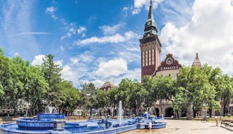 Lokalna samouprava namerava da raskine ugovor sa JKP "Čistoća i zelenilo" oko poslova pošumljavanja