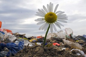 Traži se izvođač radova za Regionalnu deponiju