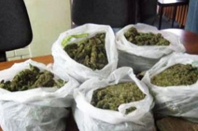 Uhapšena grupa sa 6 kilograma „skanka"