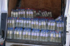Podeljeno 7.000 litara dezinfekcionog sredstva, uskoro podela 15.000 maski