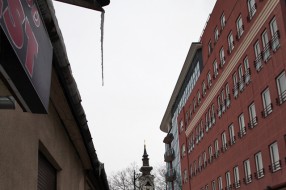 Ledenice - opasnost?