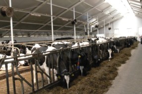 Danas razgovori, sutra prosipanje mleka?