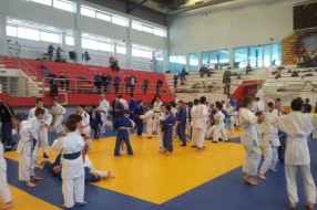 Šest medalja mladih džudista Spartaka