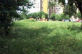 Zakorovljena javna površina na Prozivci