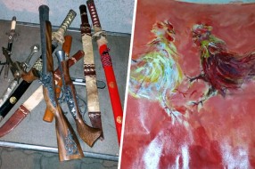 Na Horgošu zaplenjeno staro oružje i umetnička slika