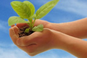 60 miliona dinara za eko projekte