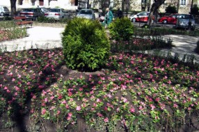 Nova zelena oaza u centru Subotice
