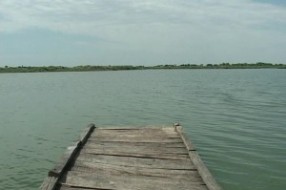 Saradnja između Subotice i Kragujevca