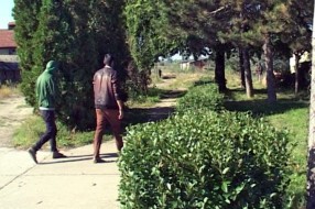 Više migranata iz Indije