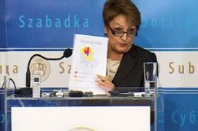 Grad traži izmenu zakona o nacionalnim savetima