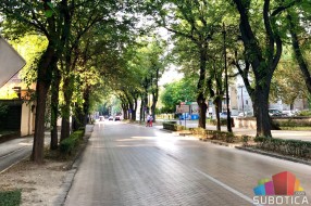 Šta to "pucketa" pod točkovima i đonovima u ulici Braće Radić?