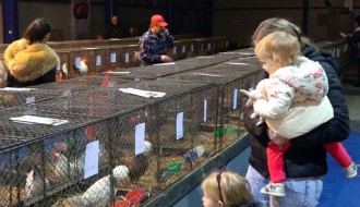 Izložba sitnih životinja izazvala veliko interesovanje