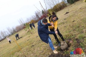 Bački doručak na Salašu Đorđević, mladenci sadili "drvo ljubavi"