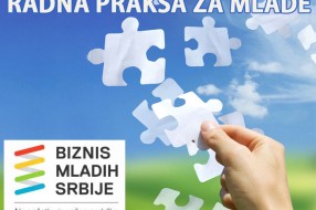 Radna praksa za mlade