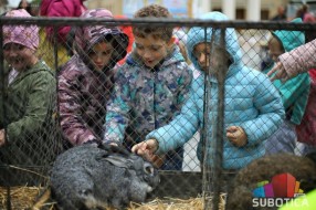 Svetski dan životinja - izložba kućnih ljubimaca u sredu