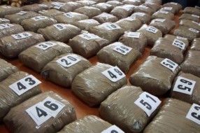 Zaplenjeno 100kg marihuane na Horgošu