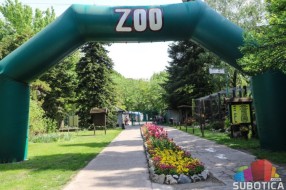 I radnici ZOO vrta u tihom štrajku?