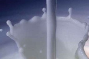 Tražimo zabranu uvoza mleka u prahu, SVM