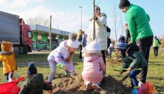 Velika akcija podizanja drvoreda na Palićkom putu
