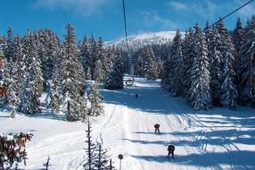 Subotičanima najinteresantniji Kopaonik