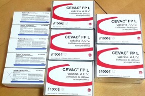 Sprečen pokušaj krijumčarenja 100 hiljada veterinarskih vakcina