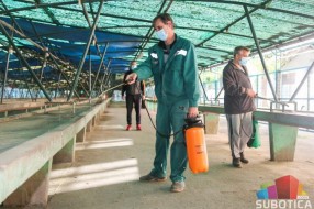 Zelene pijace od sutra počinju s radom, ali uz strogo poštovanje propisanih mera