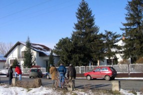 Sedam godina nakon ubistva porodice Salma