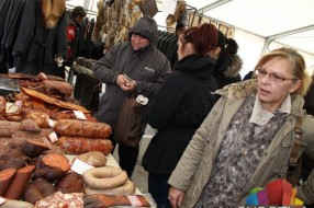 Počeo Drugi međunarodni festival čvaraka i disnotora