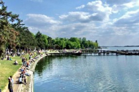 Palić ne treba isušivati, tvrde u Institutu "Jaroslav Černi"