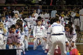 Završen 14. Internacionalni karate turnir