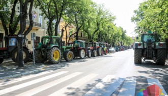 Predstavnik subotičkih paora: "Na sastanku u Vladi razgovarali pretežno o ceni suncokreta, ali nikakav dogovor nije postignut"