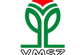SVM izneo niz primedbi na predlog Medijske strategije