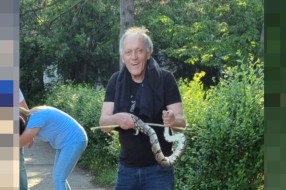 Hrabri Subotičanin savladao pitona nedaleko od dece koja su bezbrižno igrala fudbal
