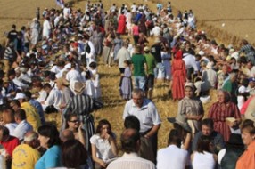 Takmičenje risara održano danas na salašu nadomak Đurđina