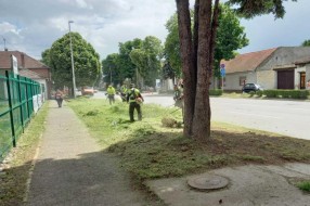 Završen drugi krug košenja zelenih površina, kreće treći
