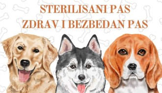 Besplatna sterilizacija pasa zahvaljujući projektu "Sterilisan pas, zdrav i bezbedan pas", prijave u toku