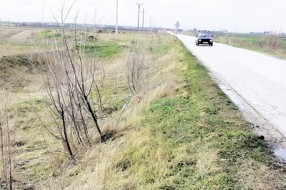 Posejali u pesak 30 miliona dinara