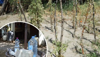 U Tavankutu česme mnogima služe samo za ukras