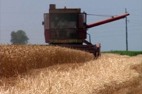 Agro-savetodavci počinju sa radom