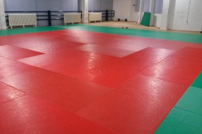 Džudo klub "Spartak" zadovoljan rešavanjem dugogodišnjeg problema